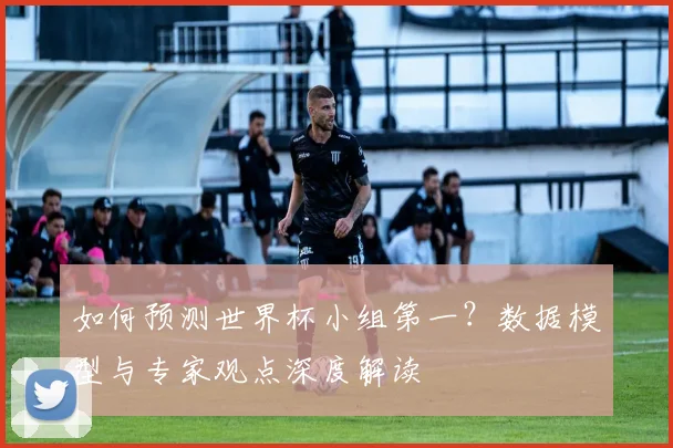 如何预测世界杯小组第一?数据模型与专家观点深度解读